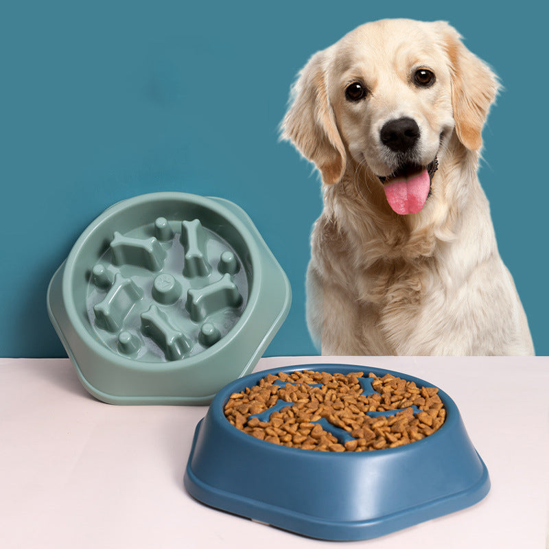 SNUGPETS | SMARTER PET FEEDING, HEALTHIER PET COMPANION!!!