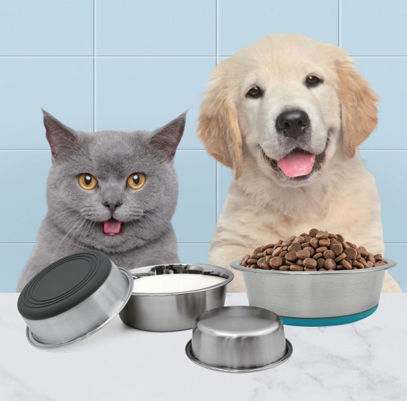 SNUGPETS | SMARTER PET FEEDING, HEALTHIER PET COMPANION!!!