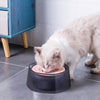 Pet Floating Water Bowl